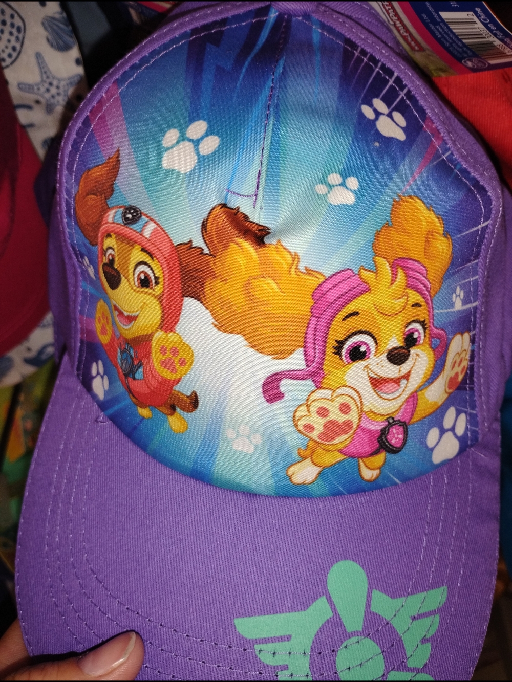 Kids' Girls' Paw Patrol Skye & Liberty Purple Hat